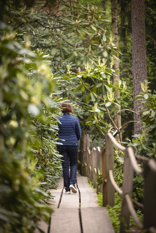 Henkilö kävelee puusta tehdyn polun varrella vehreässä metsässä