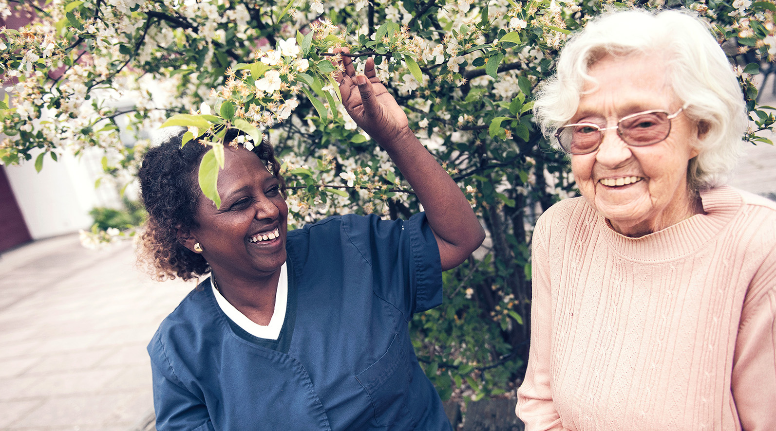 Hoitaja avustaa vanhusta keväisessä puutarhassa kukkivan puun vieressä