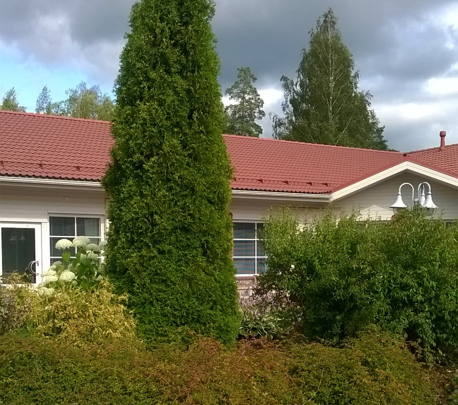 Attendo Iltatuuli, Lavia